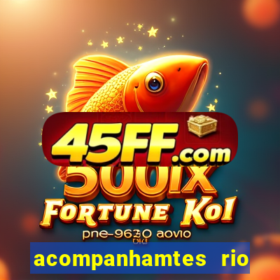 acompanhamtes rio de janeiro